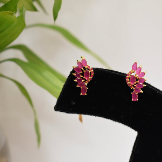 Vibrant Red Stone Earrings