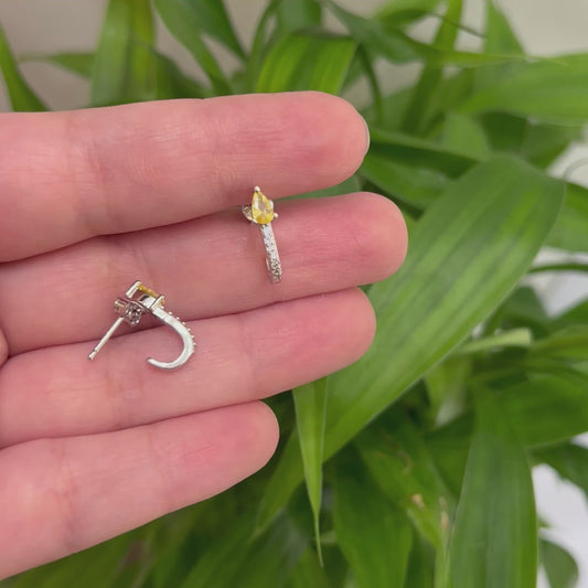 925 Silver Elegant Earrings